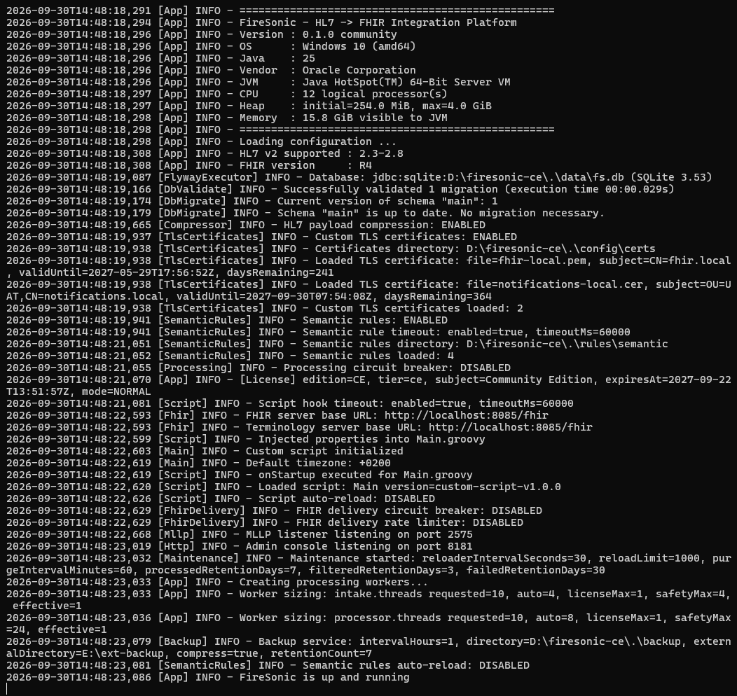 FireSonic successful startup console output
